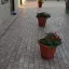 Элитный камень без недостатков: сверхпрочная плитка и декор с эффектом мрамора