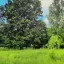 Участок 200 сот