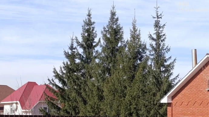 344.6 м2 на участке 6 сот 3