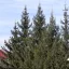 344.6 м2 на участке 6 сот