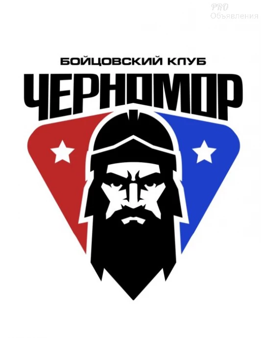 🤼&zwj;♂️ММА, панкратион, рукопашный бой: открой для себя мир единоборств 0