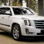 VIP-трансфер и аренда Cadillac Escalade (2020) в Крыму. Белый люкс-внедорожник на 8 человек
