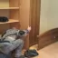 Сборка мебели: квартирные переезды, офисы, магазины. Опыт 10+ лет