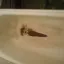 🛁 Обновим вашу ванну &mdash; быстро, качественно, с гарантией!