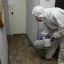 Профессиональная обработка от клопов и тараканов: услуги дезинсекции