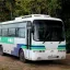 Аренда автобуса с водителем: Комфортные перевозки от транспортной компании