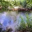 28 м2 на участке 6 сот