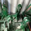 Поставка анкерных креплений и закладных для башенных кранов (Liebherr, Potain, Zoomlion и др.)