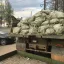 Вывоз и утилизация мусора в Смоленске &laquo;под ключ&raquo;. Любой объем, гарантия законной утилизации