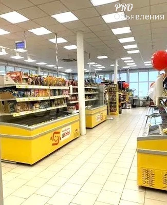 Арендный бизнес площадью 460 кв.м. готов к эксплуатации 4