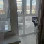 1-комн., 31 м2, 3/16 эт